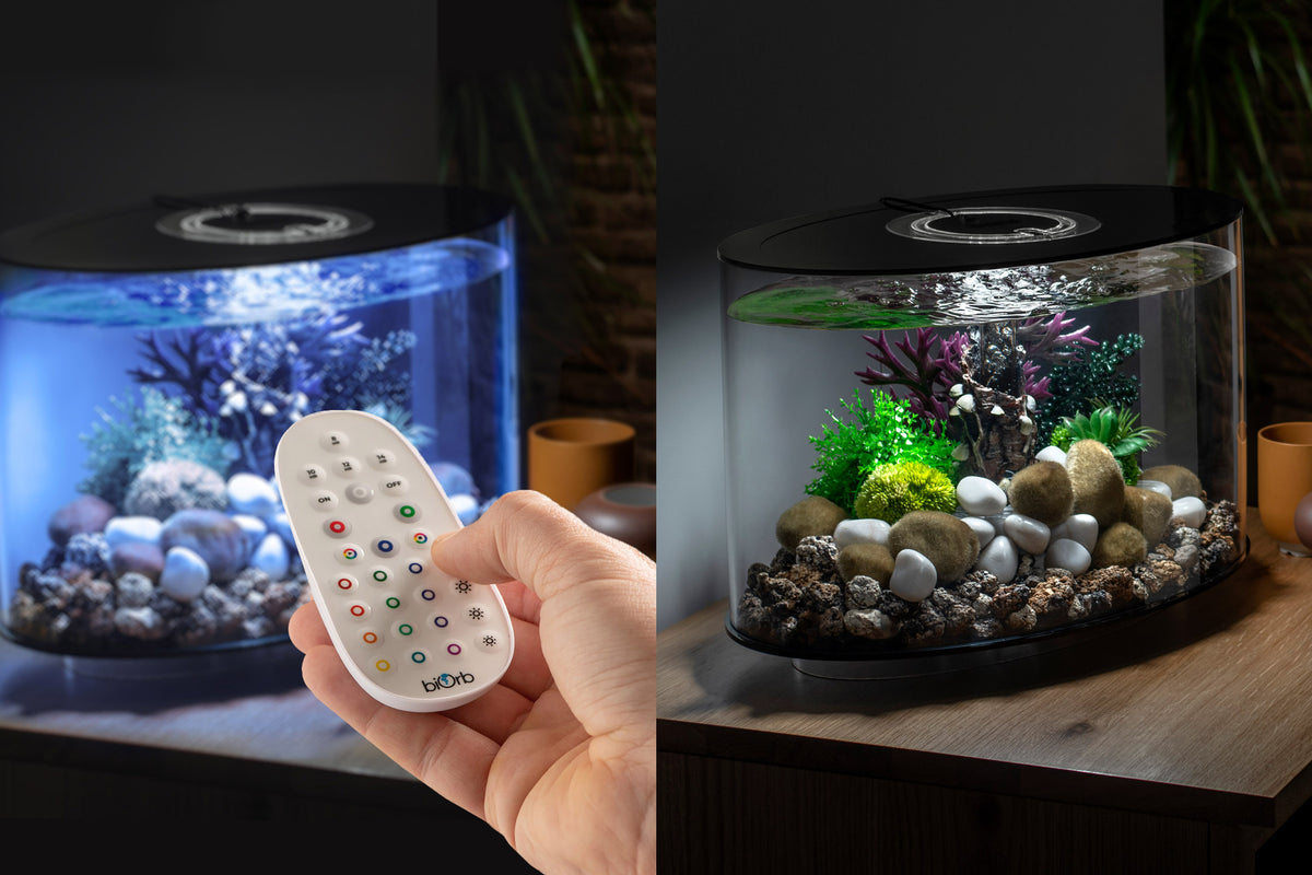 Biorb Stylish biOrb Aquariums and Accessories for Your Home | biOrb US
