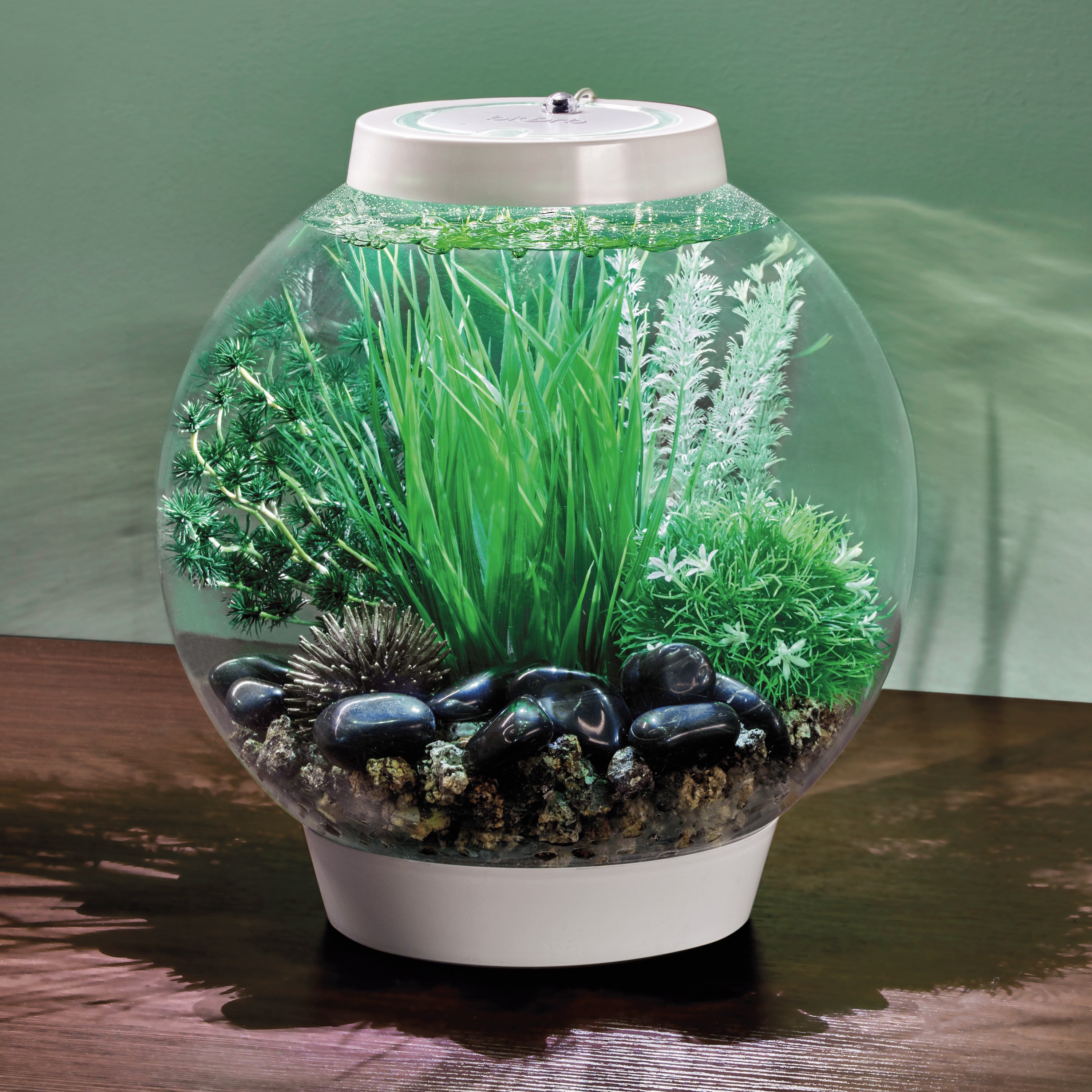 CLASSIC 15 - Tuvalu – biOrb