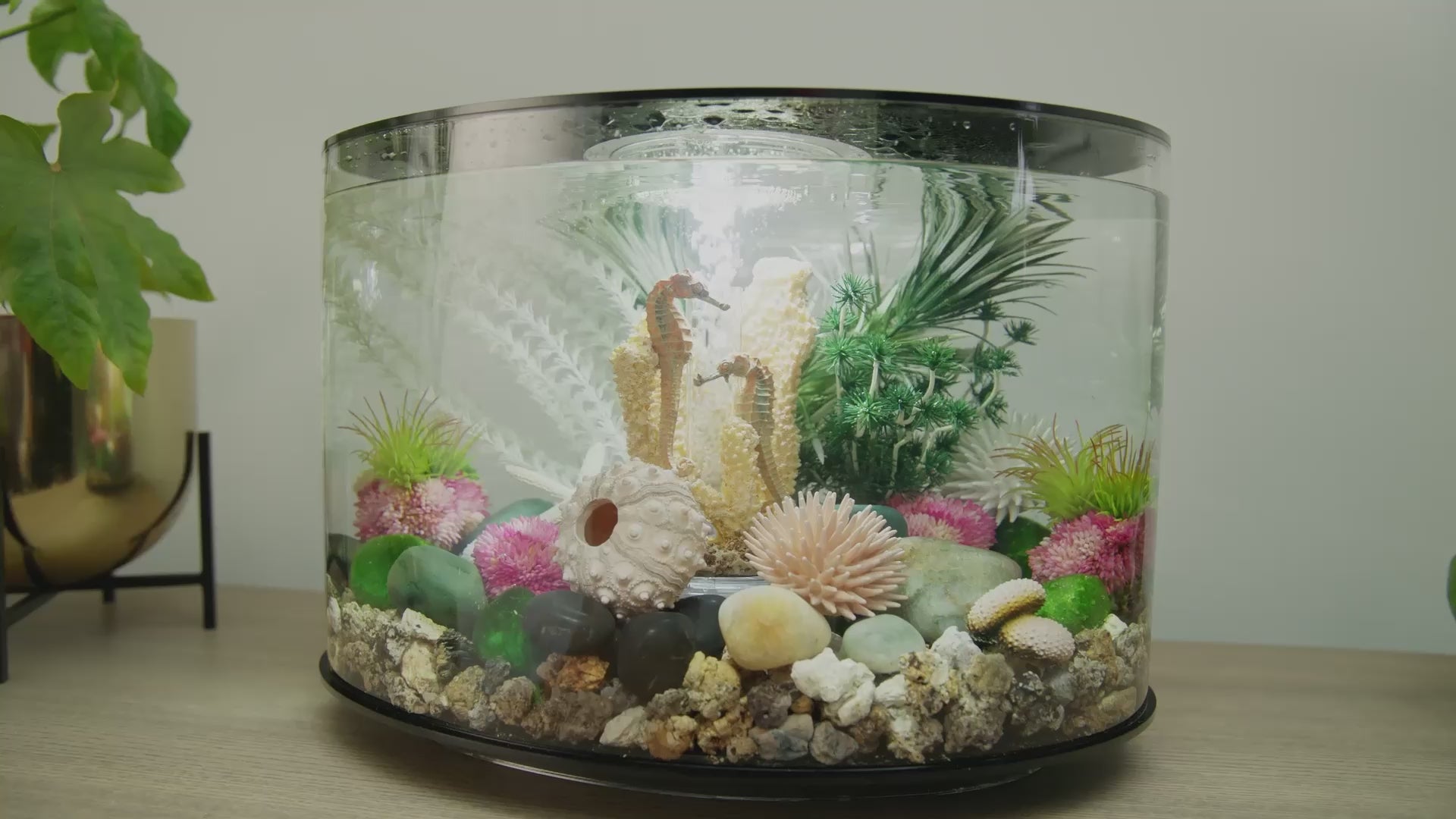 Innovative Aquariums and Terrariums for Your Home | biOrb US
