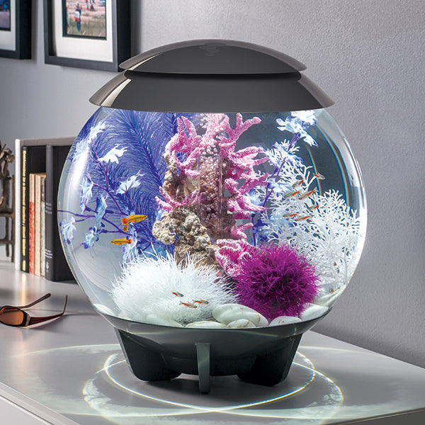 アクアリウム 水槽 置物 46052 biOrb Marble Pebble Set, Solid Aquarium Decorations, Green アクアリウム 水槽 置物 46052 biOrb Marble Pebble Set, Solid