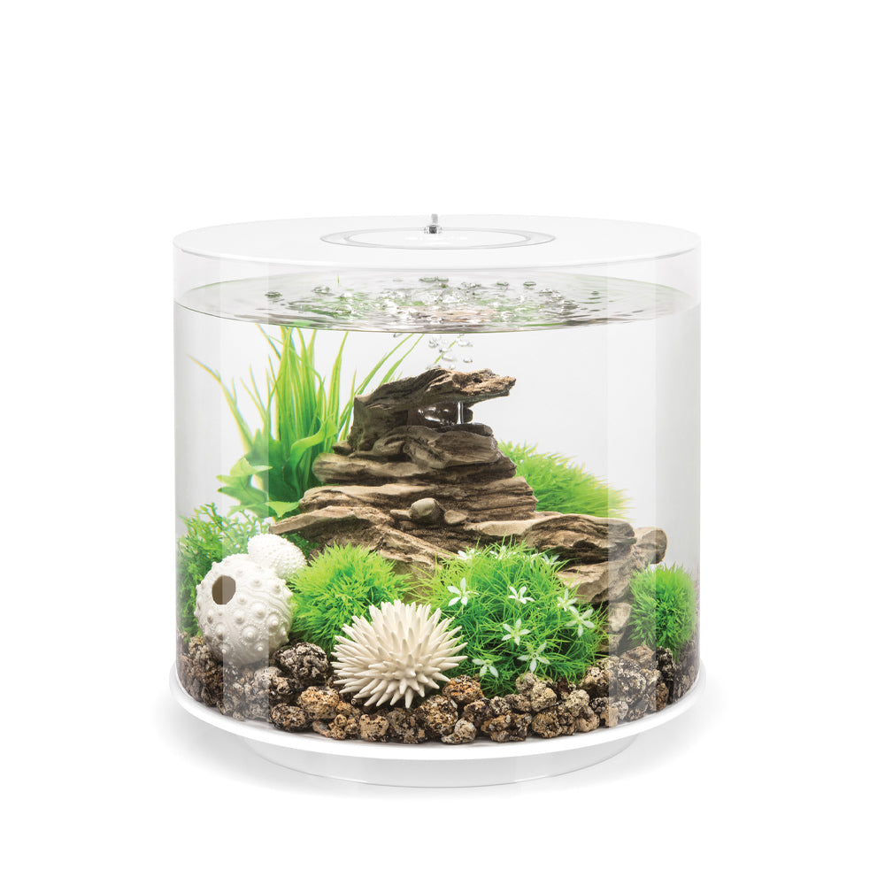Aquarium Models – biOrb