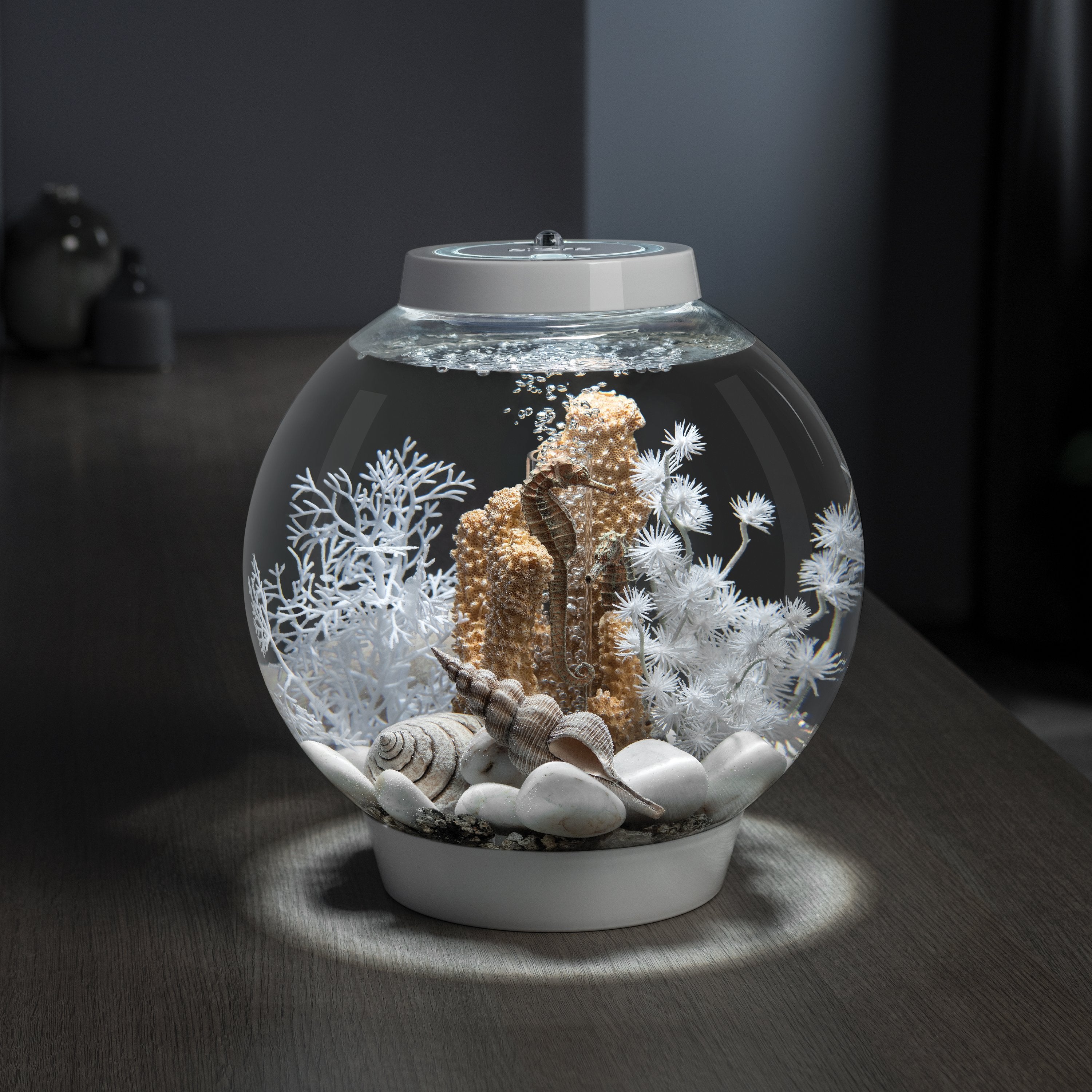 CLASSIC 15 Aquarium with MCR Light in Silver