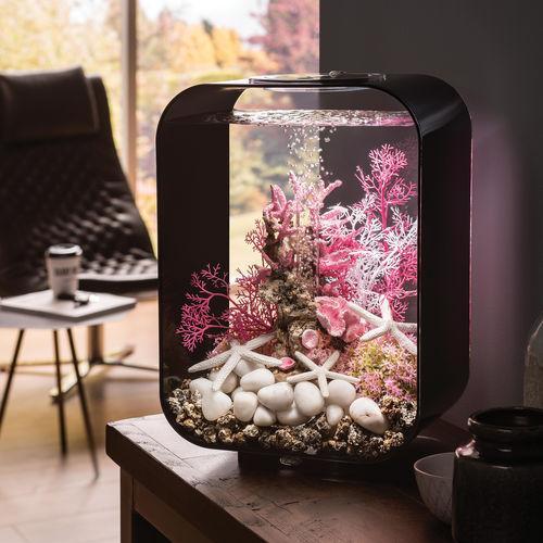Get inspiration for your aquarium design by using the biOrb LIFE 15 Aquarium