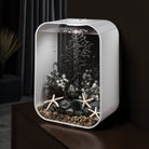 Black Sea Urchins Set of 3 in Use