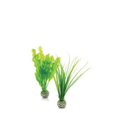 Small Green Plant Set