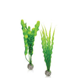biOrb Easy Plant Set, medium green