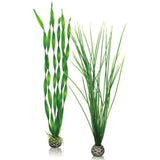 biOrb Easy Plant Set. large green