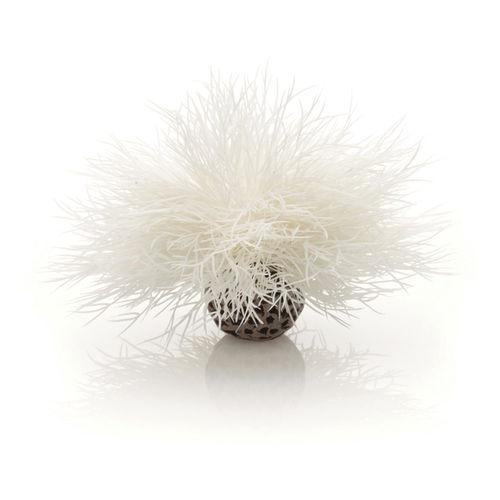 biOrb Aquarium Sea Lily available in White