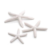 Starfish Set of 3 available in White