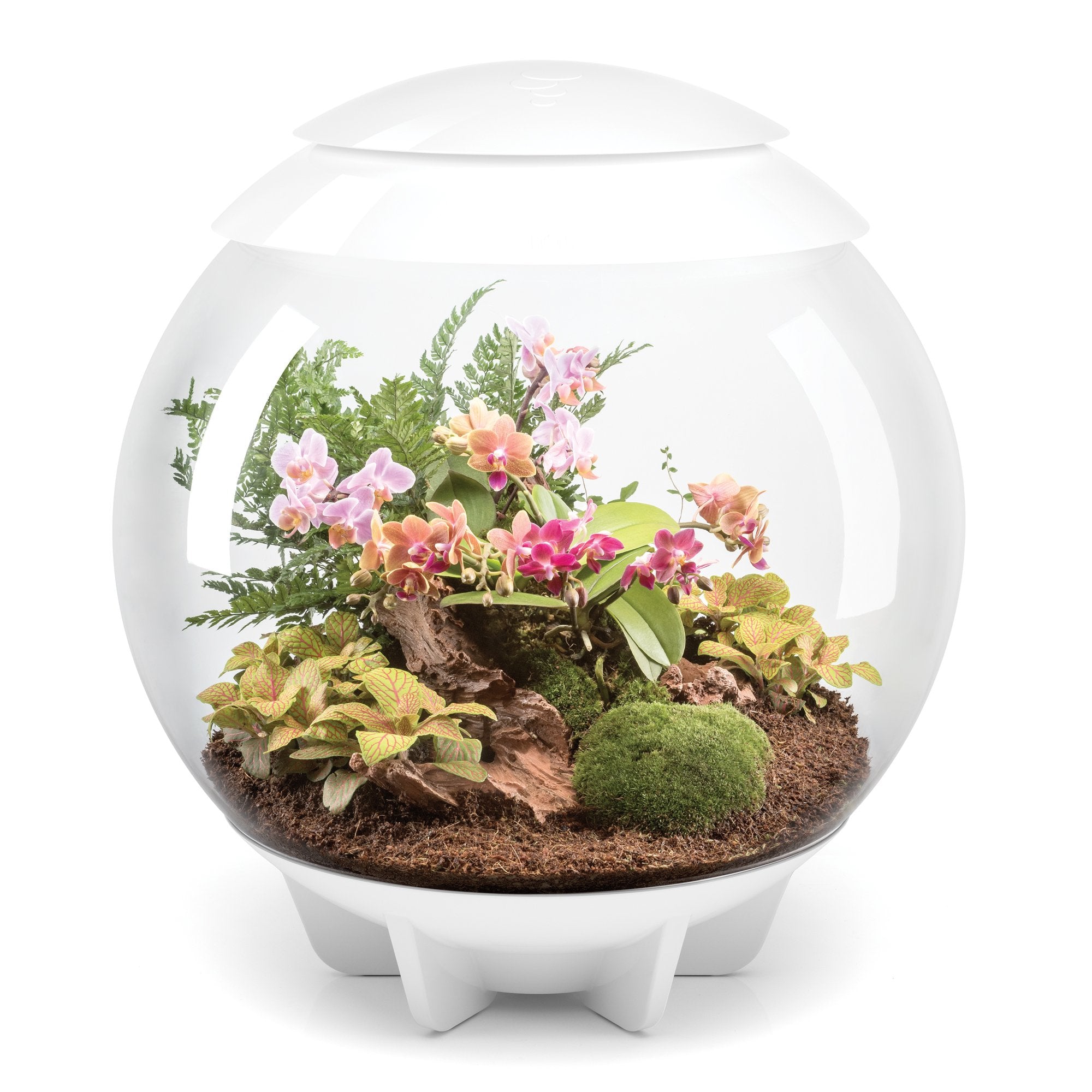 The biOrb AIR terrarium white