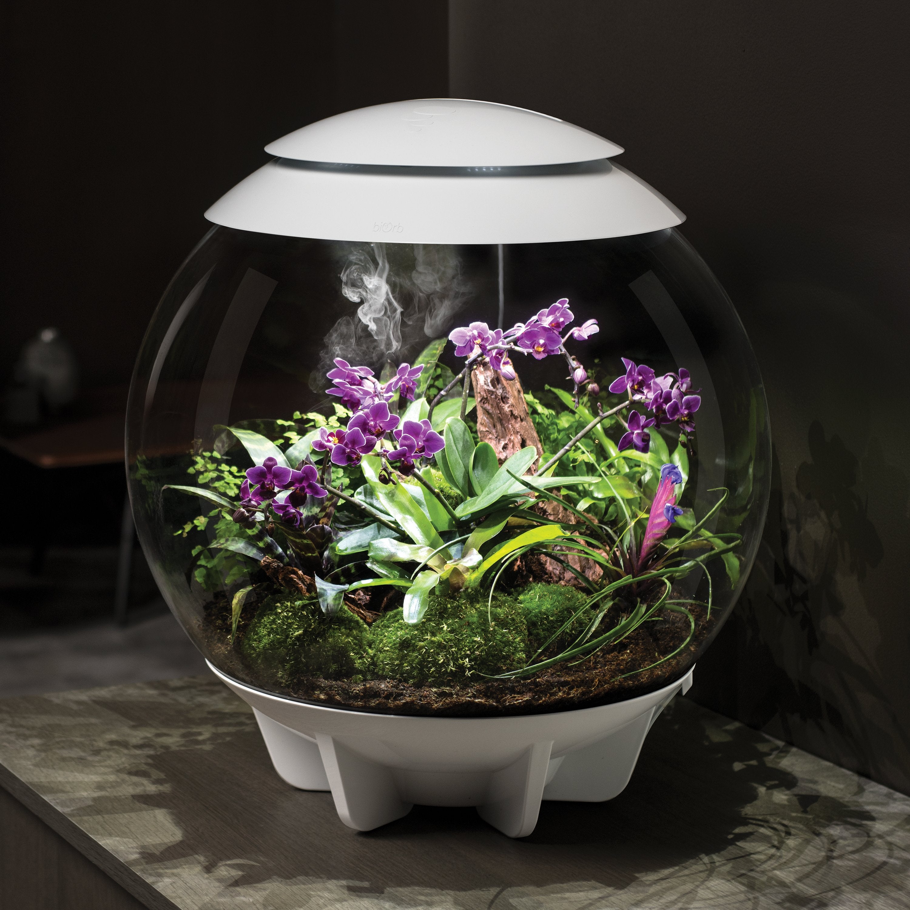 The biOrb AIR terrarium is a fully-automated 360-degree terrarium that replicates the natural conditions found under the tropical forest canopy