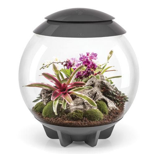 The biOrb AIR terrarium grey
