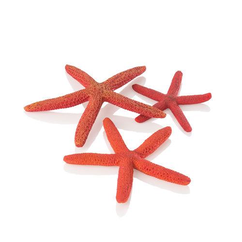 Starfish Set of 3 in Red