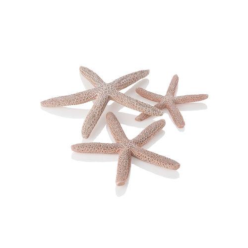Starfish Set of 3 available in Natural