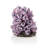 Purple Barnacle Sculpture