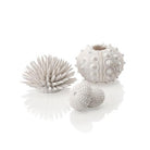 Sea Urchins Set of 3 available in White