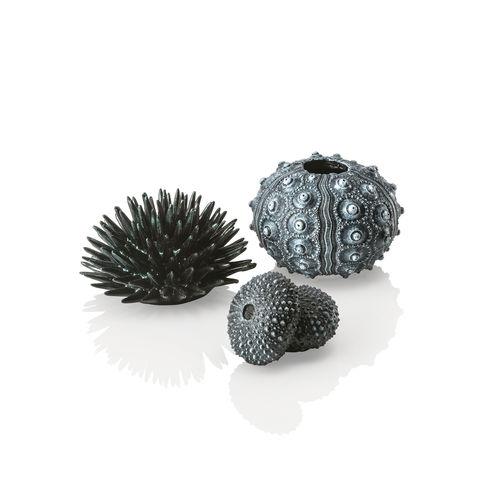 Sea Urchins Set of 3 available in Black