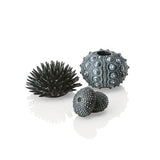 Sea Urchins Set of 3 available in Black