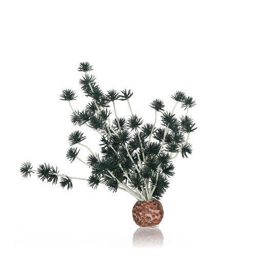 Black Bonsai Ball