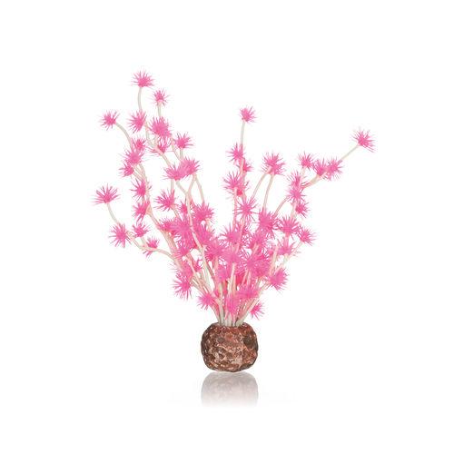 Pink Bonsai Ball