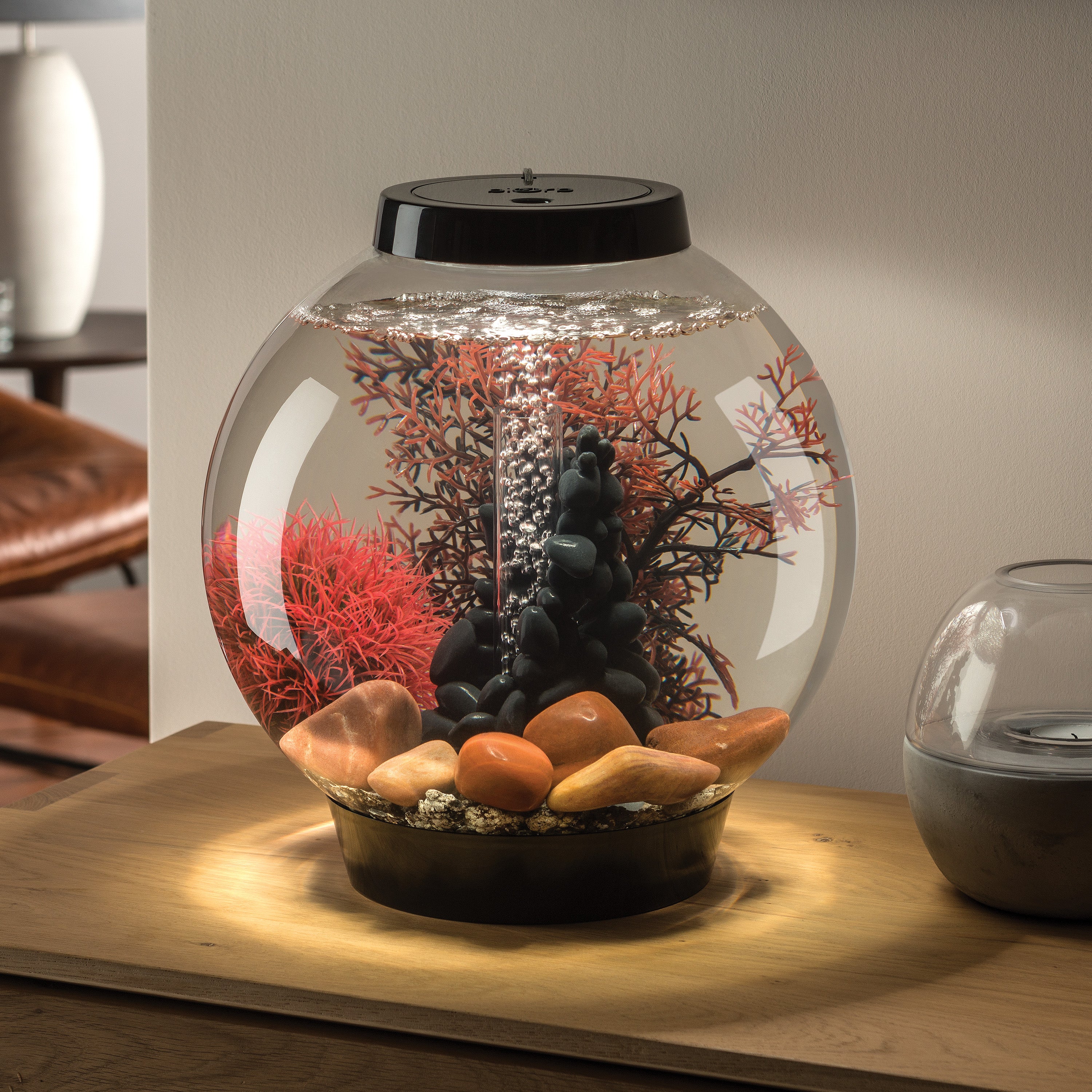 CLASSIC 15 Aquarium Set with LED Light - 4 gallon, Black - Stone River In Use