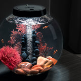 CLASSIC 15 Aquarium Set with LED Light - 4 gallon, Black - Stone River In Use