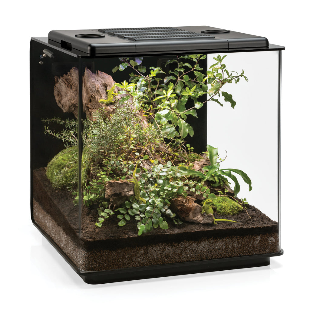 biOrb EARTH Vivarium - Create the Ideal Environment for Your Animals