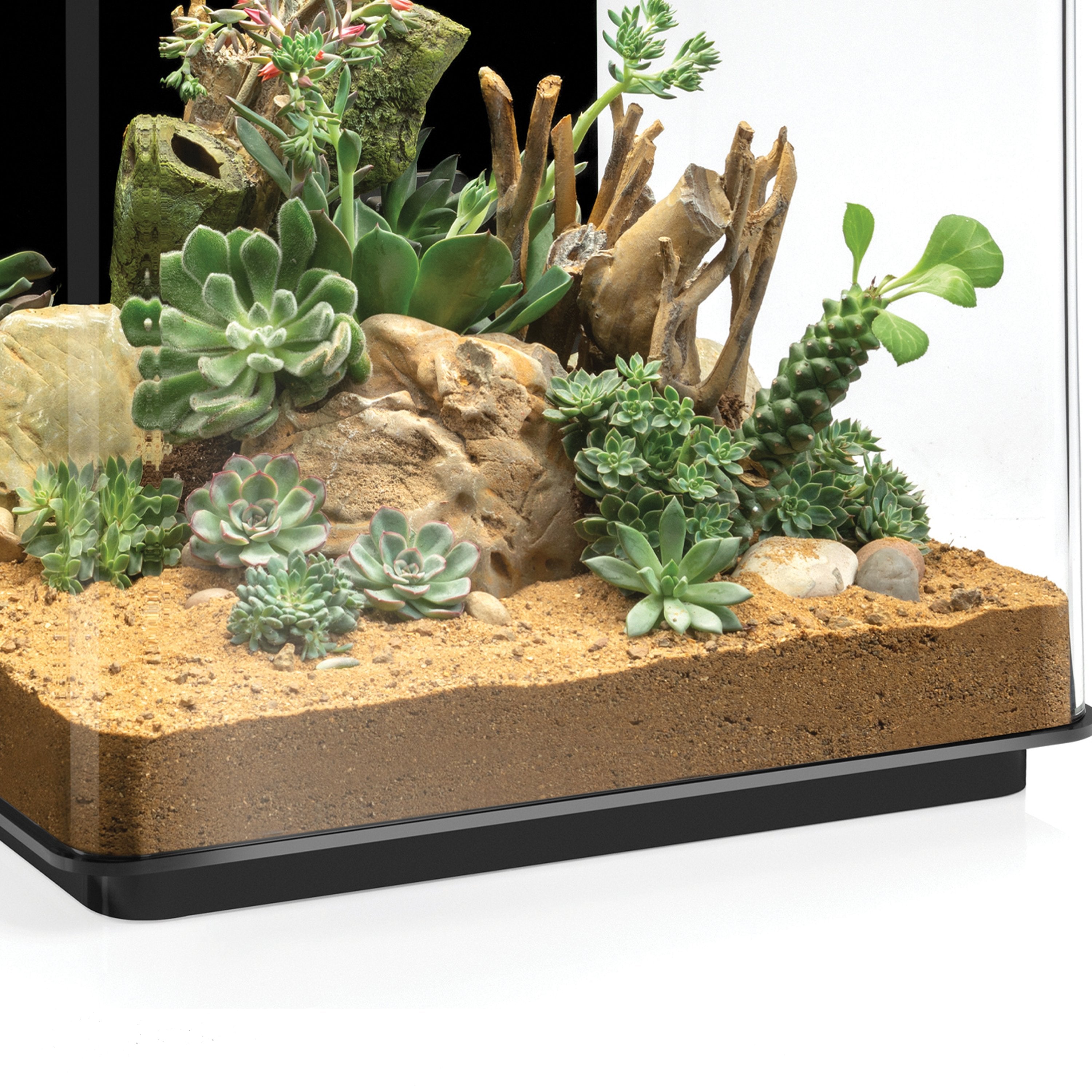 EARTH Desert Sand In Use