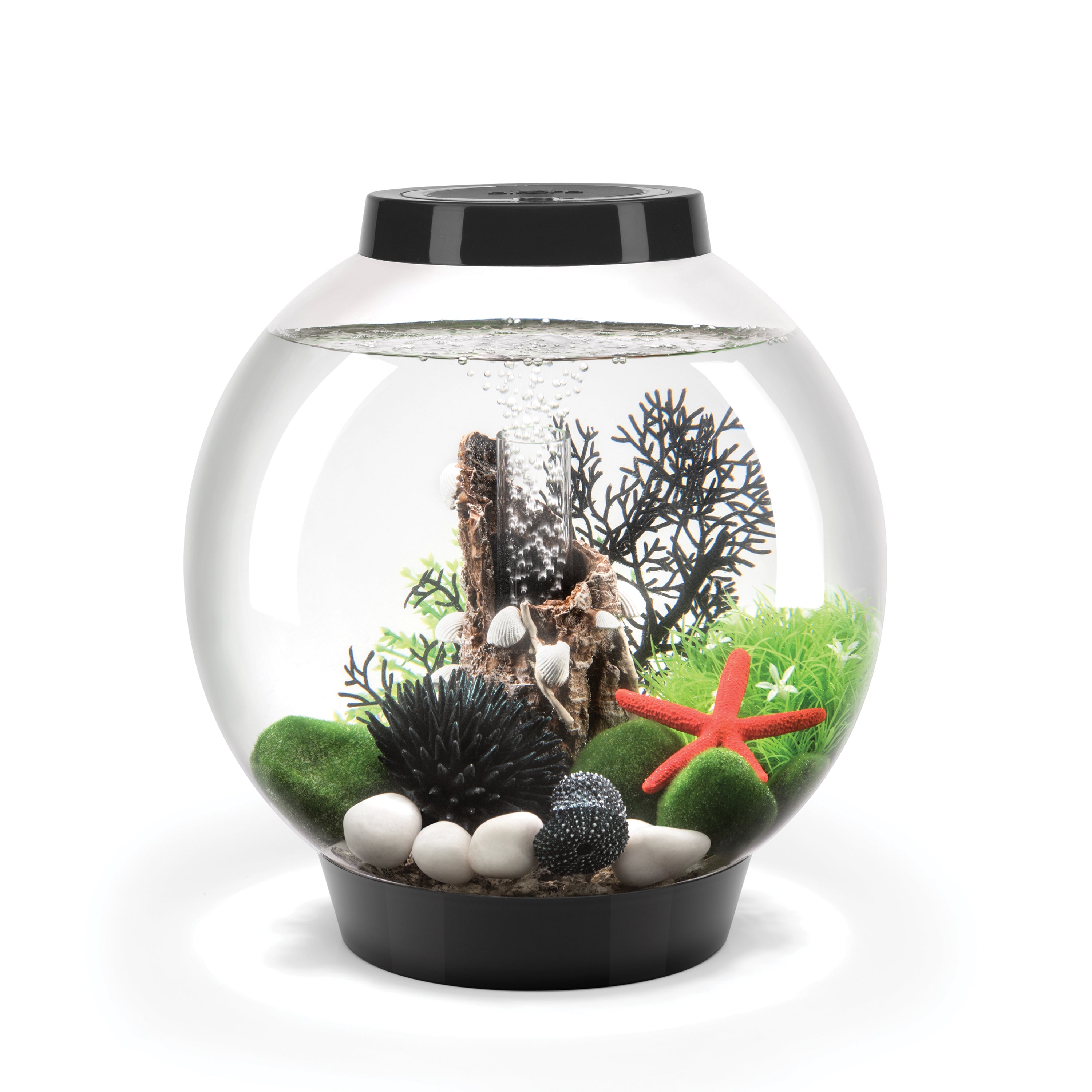 CLASSIC 15 Aquarium with Standard Light - 4 gallon available in black 