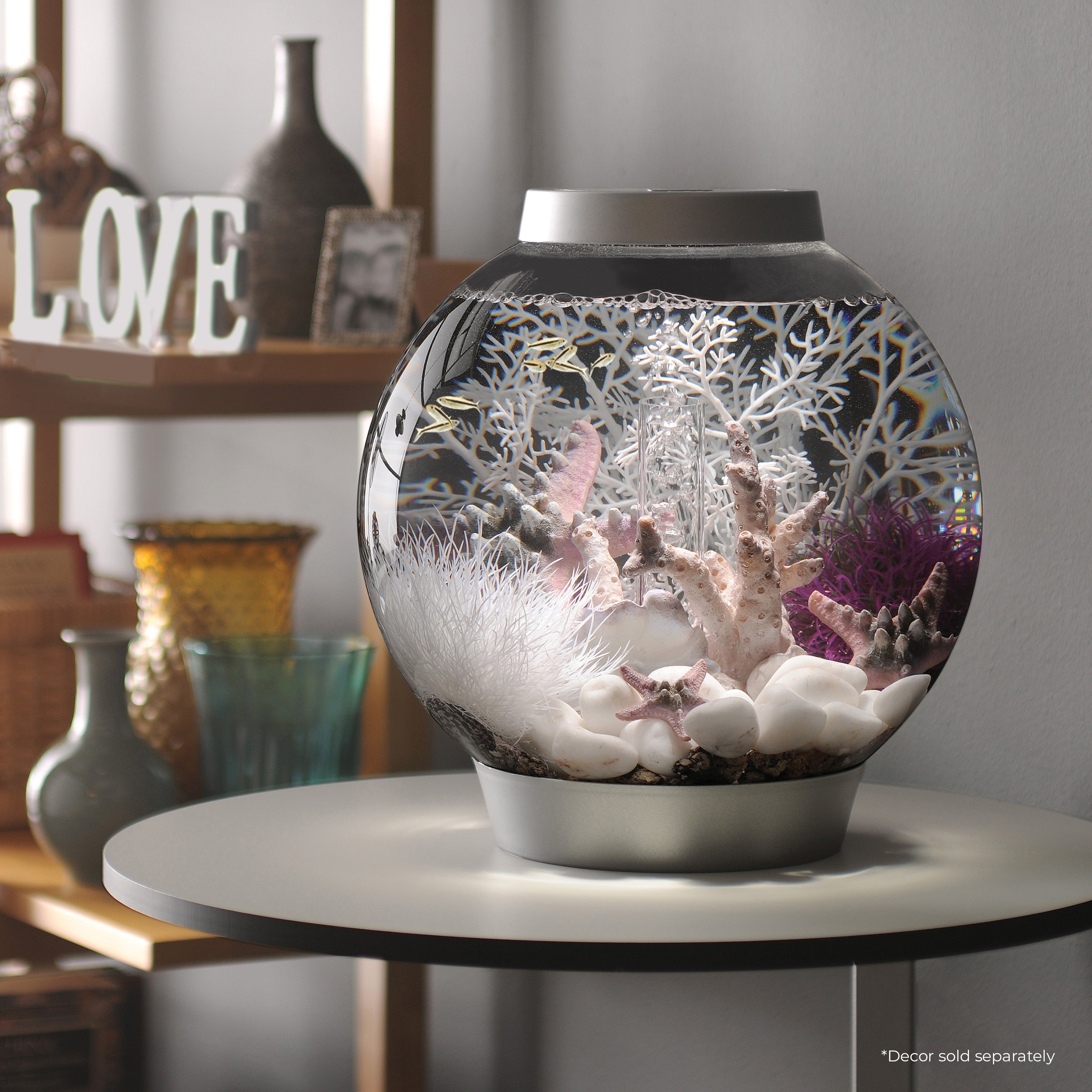 CLASSIC 15 Aquarium with Standard Light - 4 gallon in use