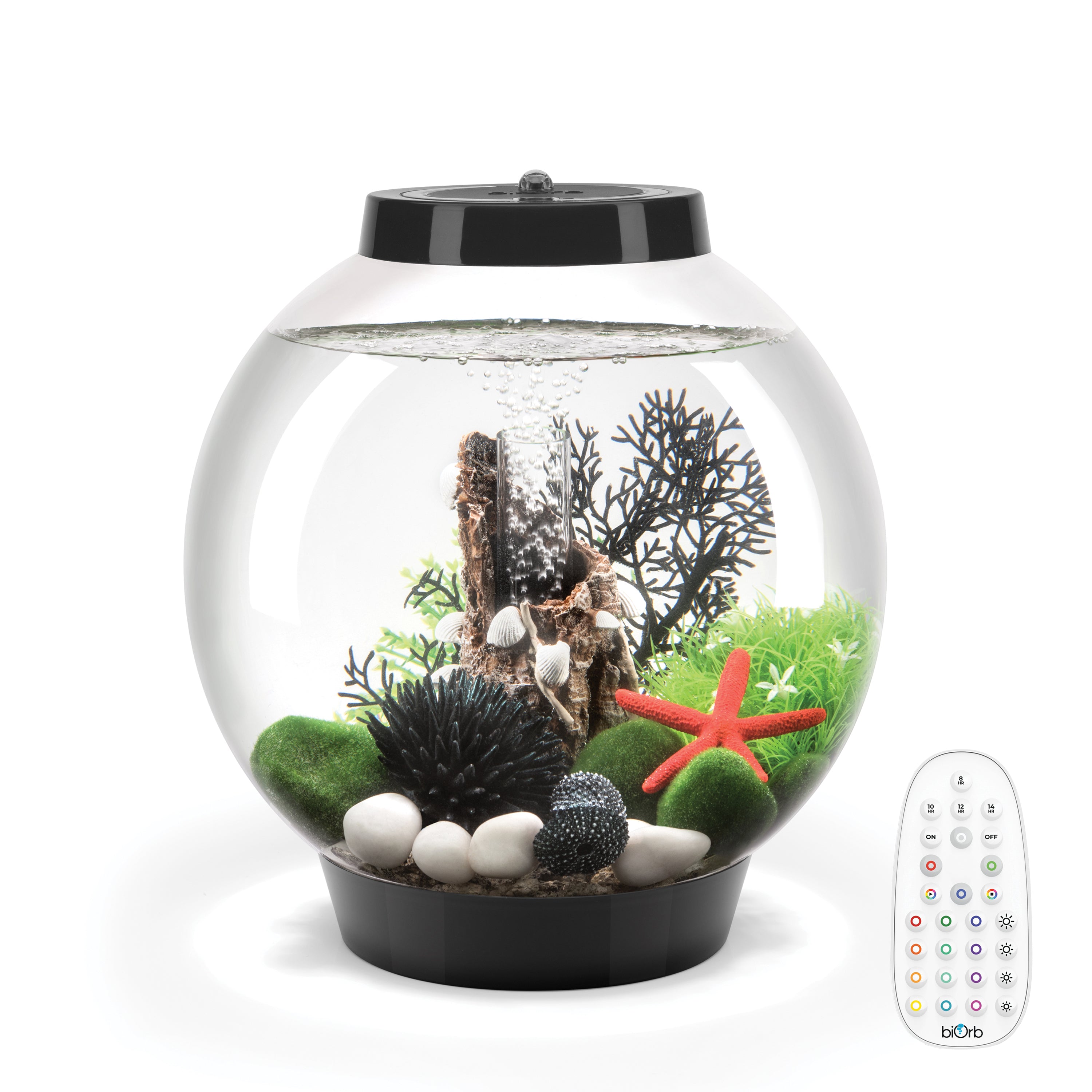 CLASSIC 15 Aquarium with MCR Light - 4 gallon available in black features remote