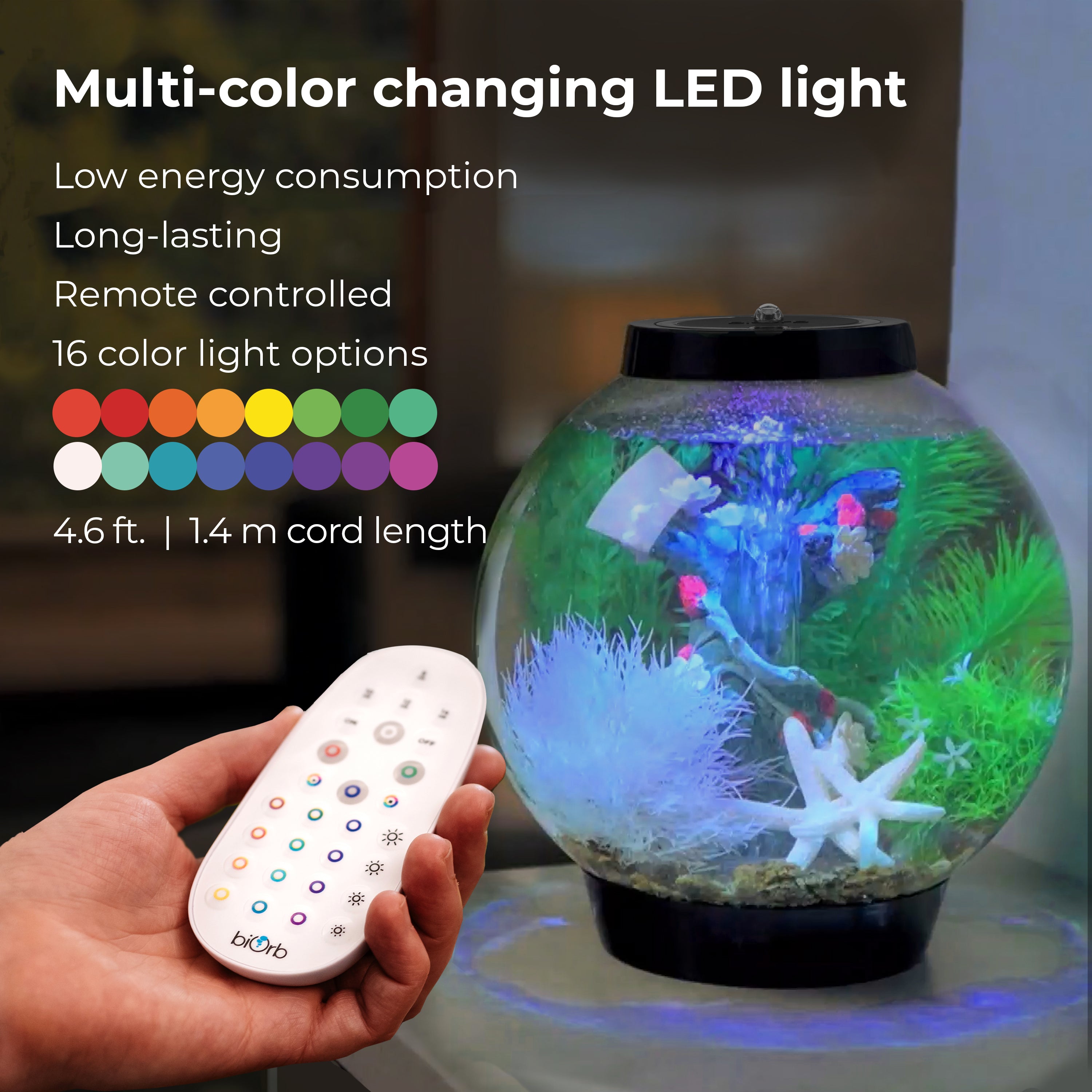 CLASSIC 15 Aquarium with MCR Light - 4 gallon features multi-color changing LED light