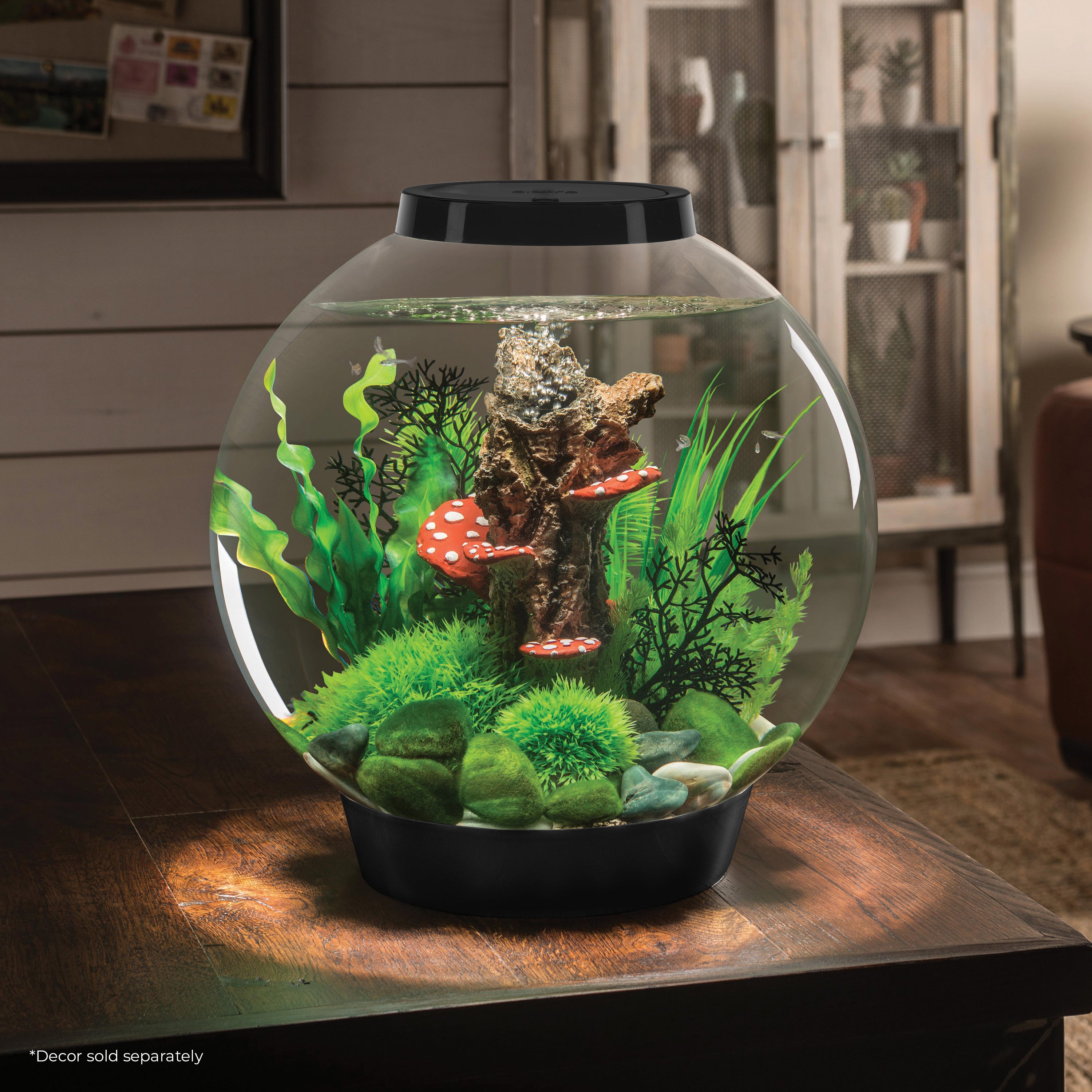 Get inspiration for your aquarium with CLASSIC 30 Aquarium with Standard Light - 8 gallon available in black
