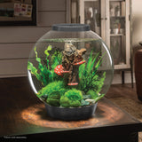 Get inspiration for your aquarium with CLASSIC 30 Aquarium with Standard Light - 8 gallon avaiable in silver