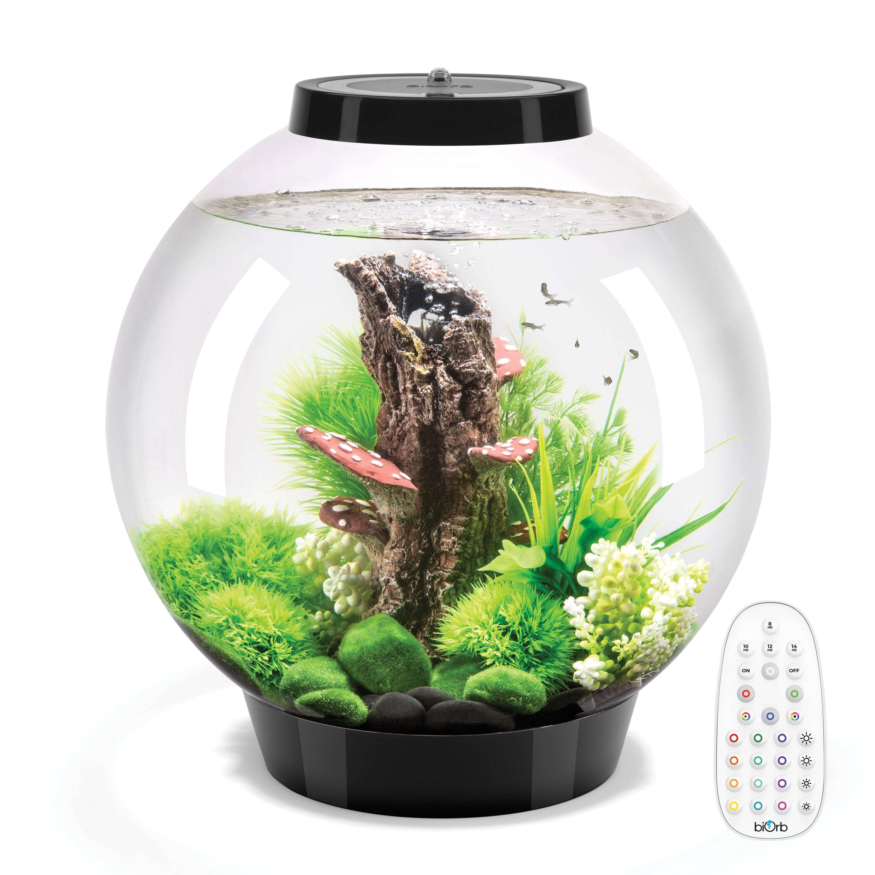 CLASSIC 30 Aquarium with MCR Light - 8 gallon is available in black 