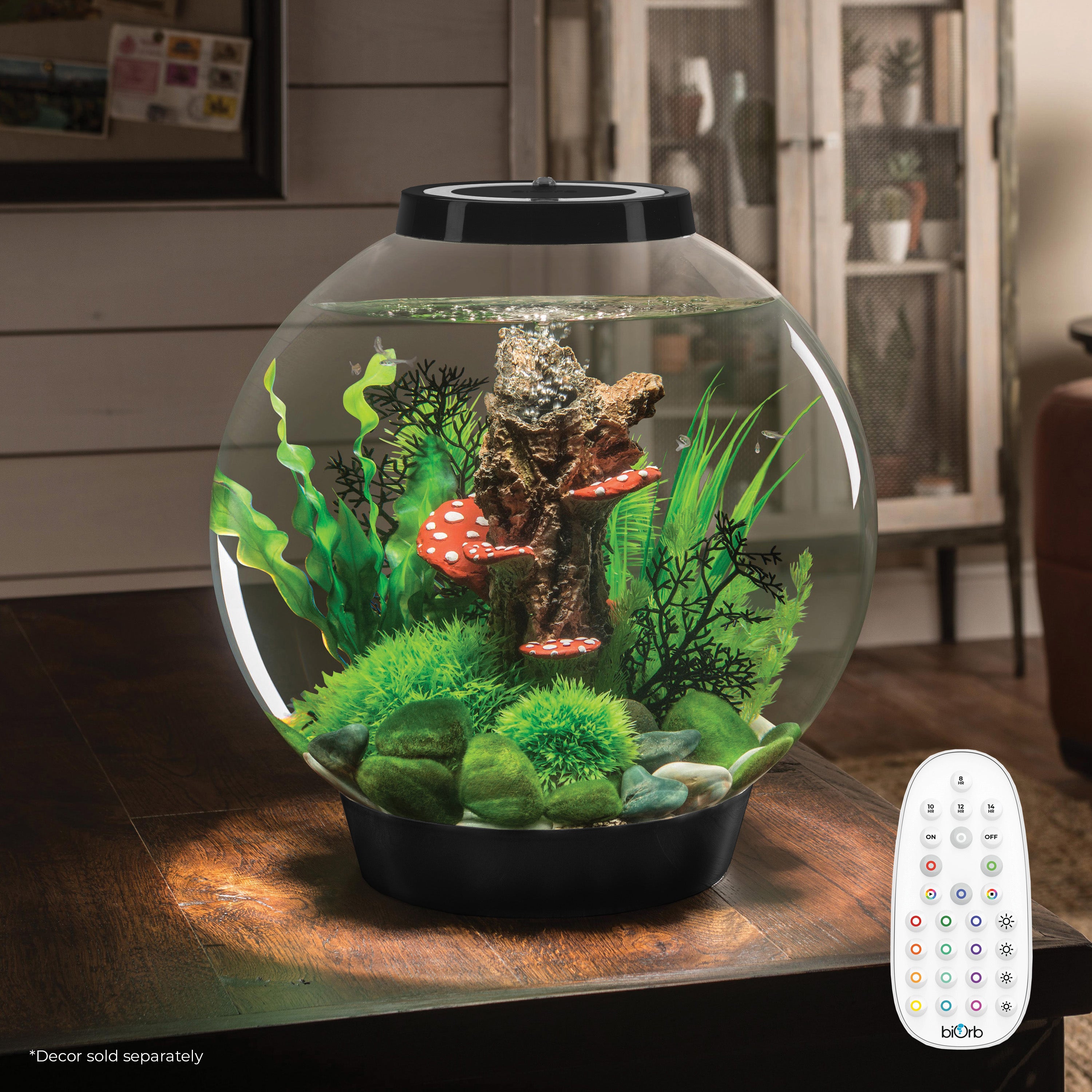 Get inspiration for your aquarium with CLASSIC 30 Aquarium with MCR Light - 8 gallon available in black