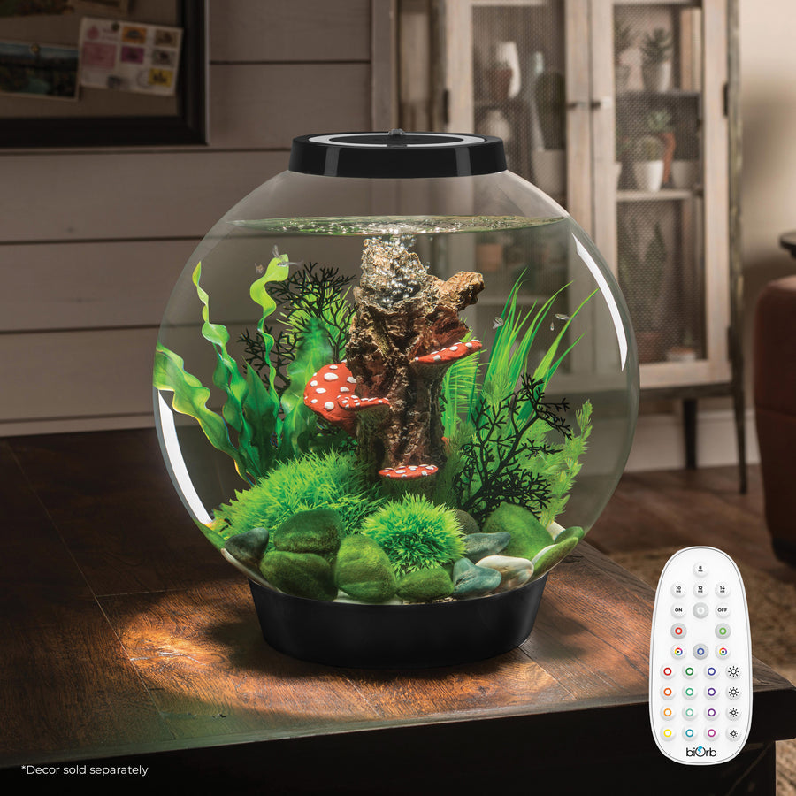 biOrb Classic Collection Aquariums for Your Home | biOrb US – biOrb [US]