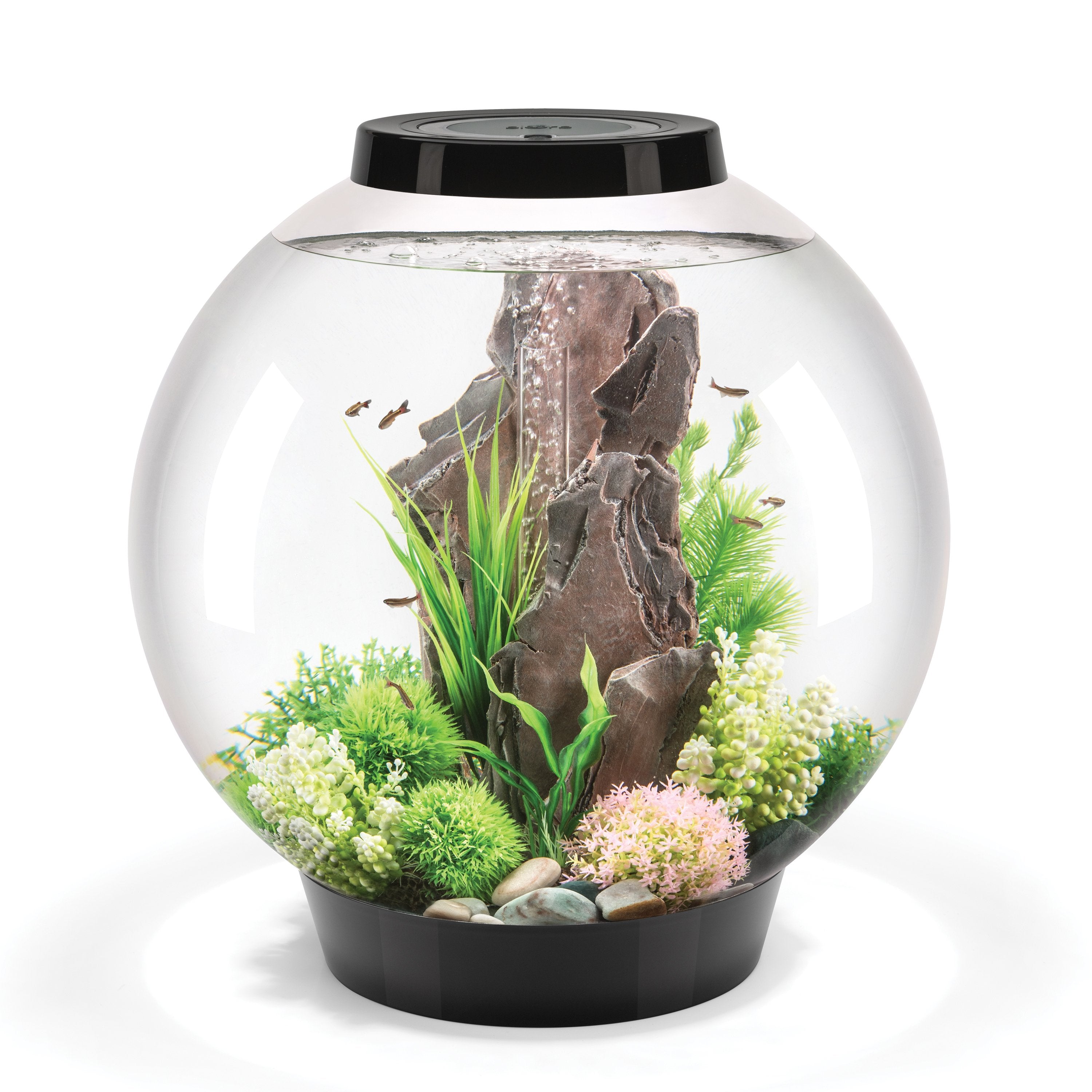 CLASSIC 60 Aquarium with Standard Light - 16 gallon available in black