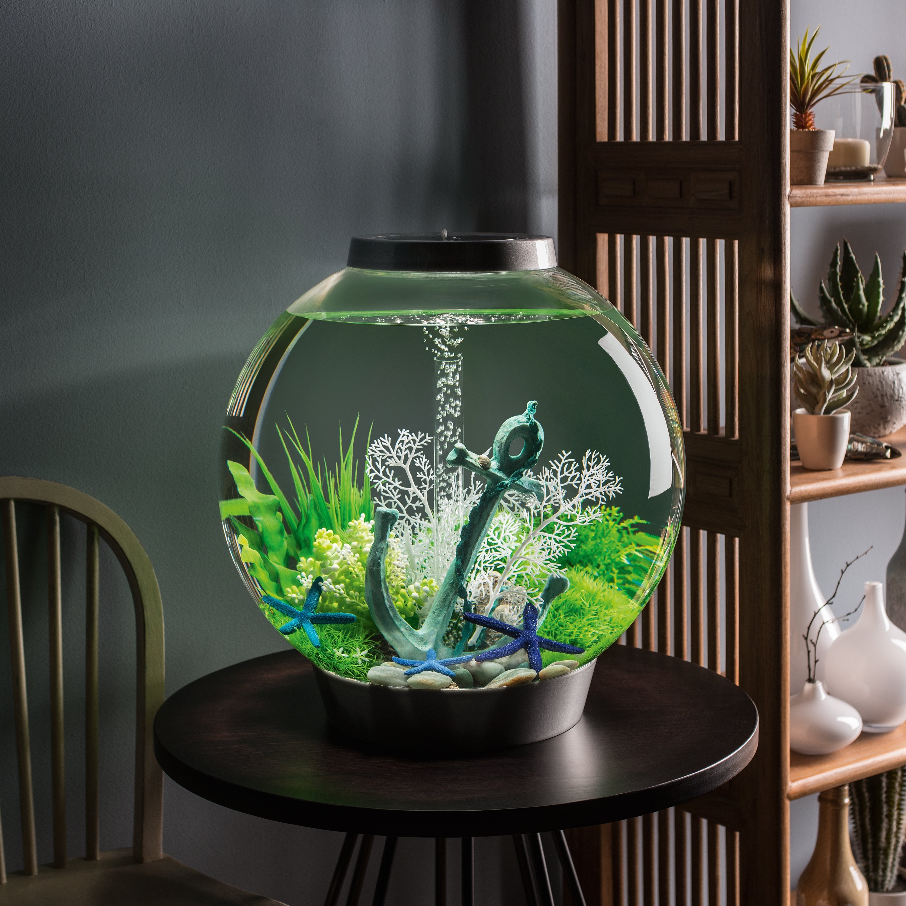 CLASSIC 60 Aquarium with Standard Light - 16 gallon in Use