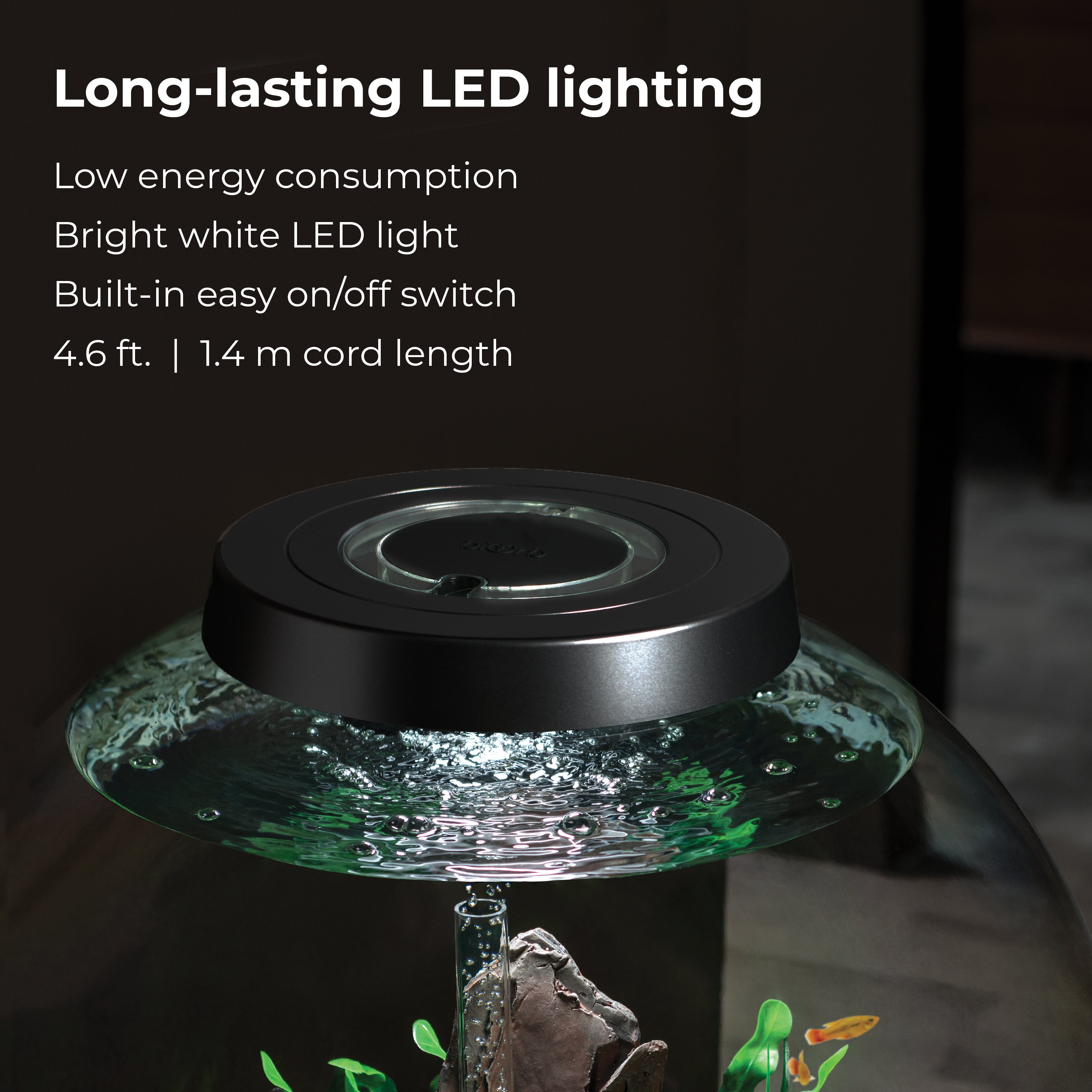 CLASSIC 60 Aquarium with Standard Light - 16 gallon features long-lasting LED lighting