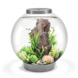 CLASSIC 60 Aquarium with Standard Light - 16 gallon available in silver