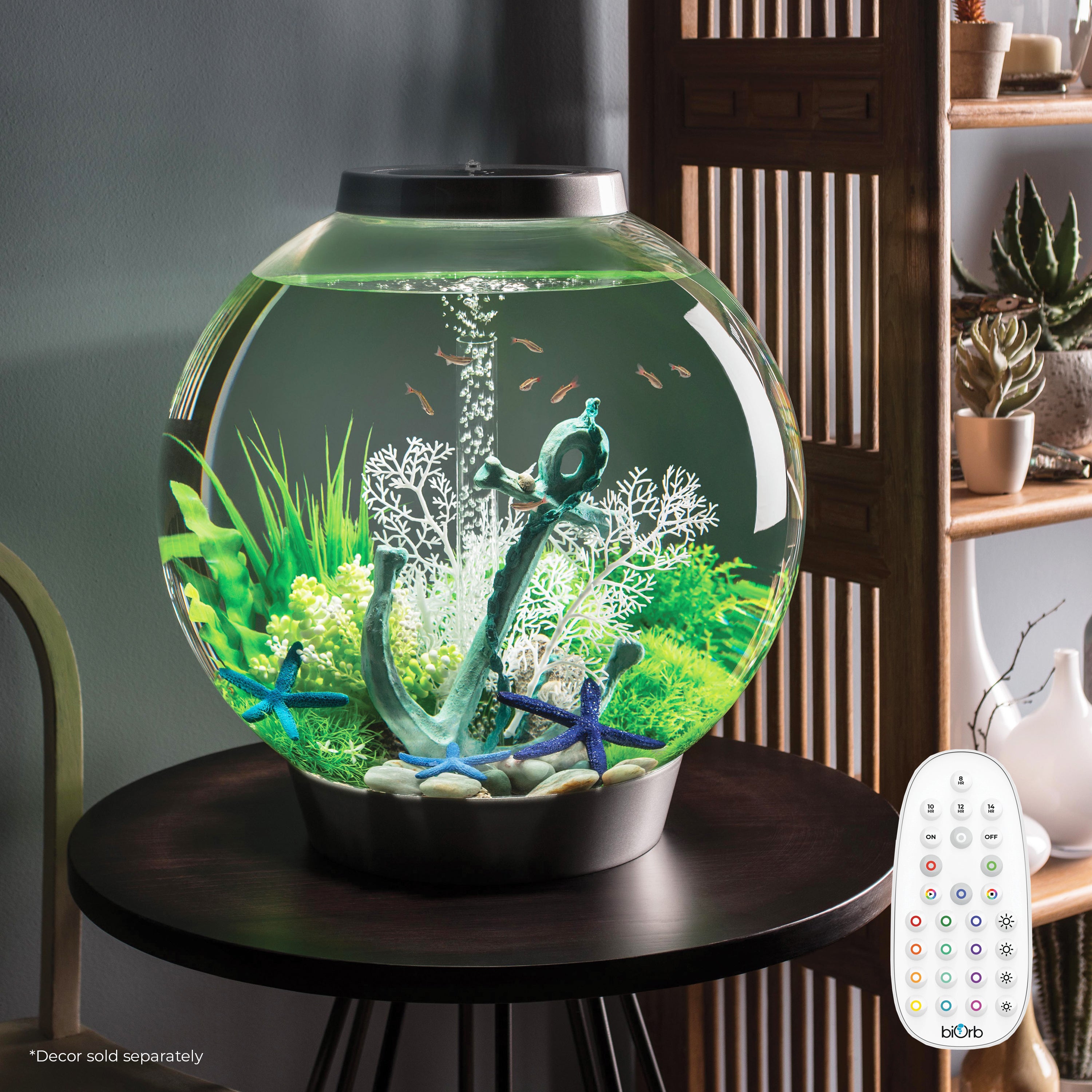 Get inspiration for your aquarium CLASSIC 60 Aquarium with MCR Light - 16 gallon available in silver