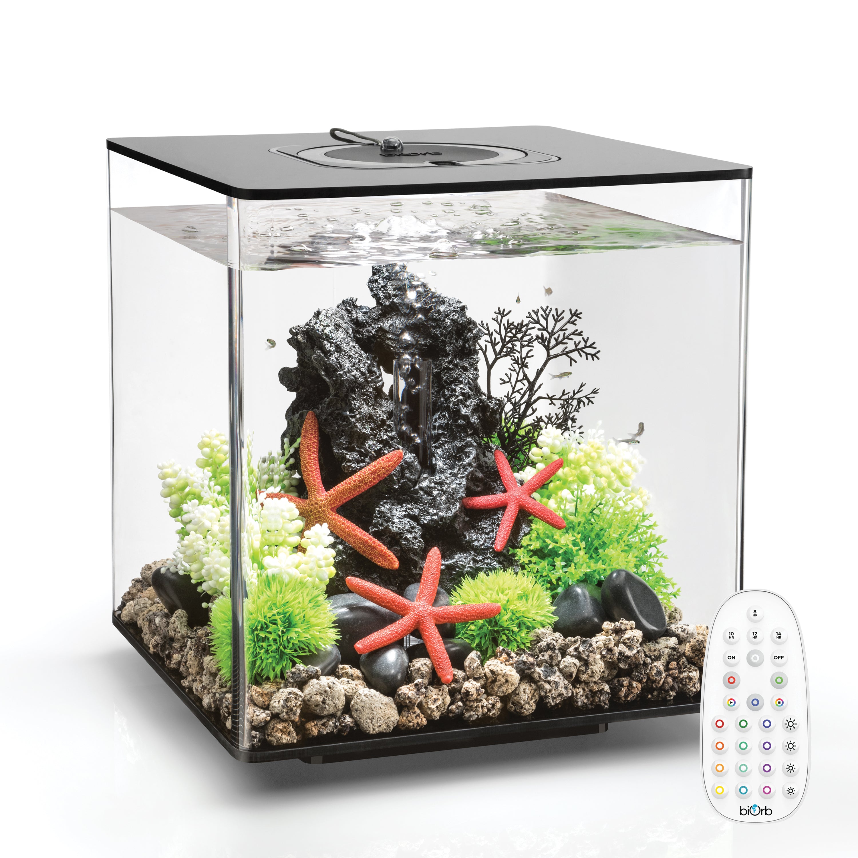 CUBE 30 Aquarium with MCR Light - 8 gallon available in black with remote