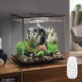 Get inspiration for your aquarium CUBE 30 Aquarium with MCR Light - 8 gallon available in black with remote