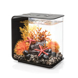 FLOW 15 Aquarium with Standard Light - 4 gallon available in black