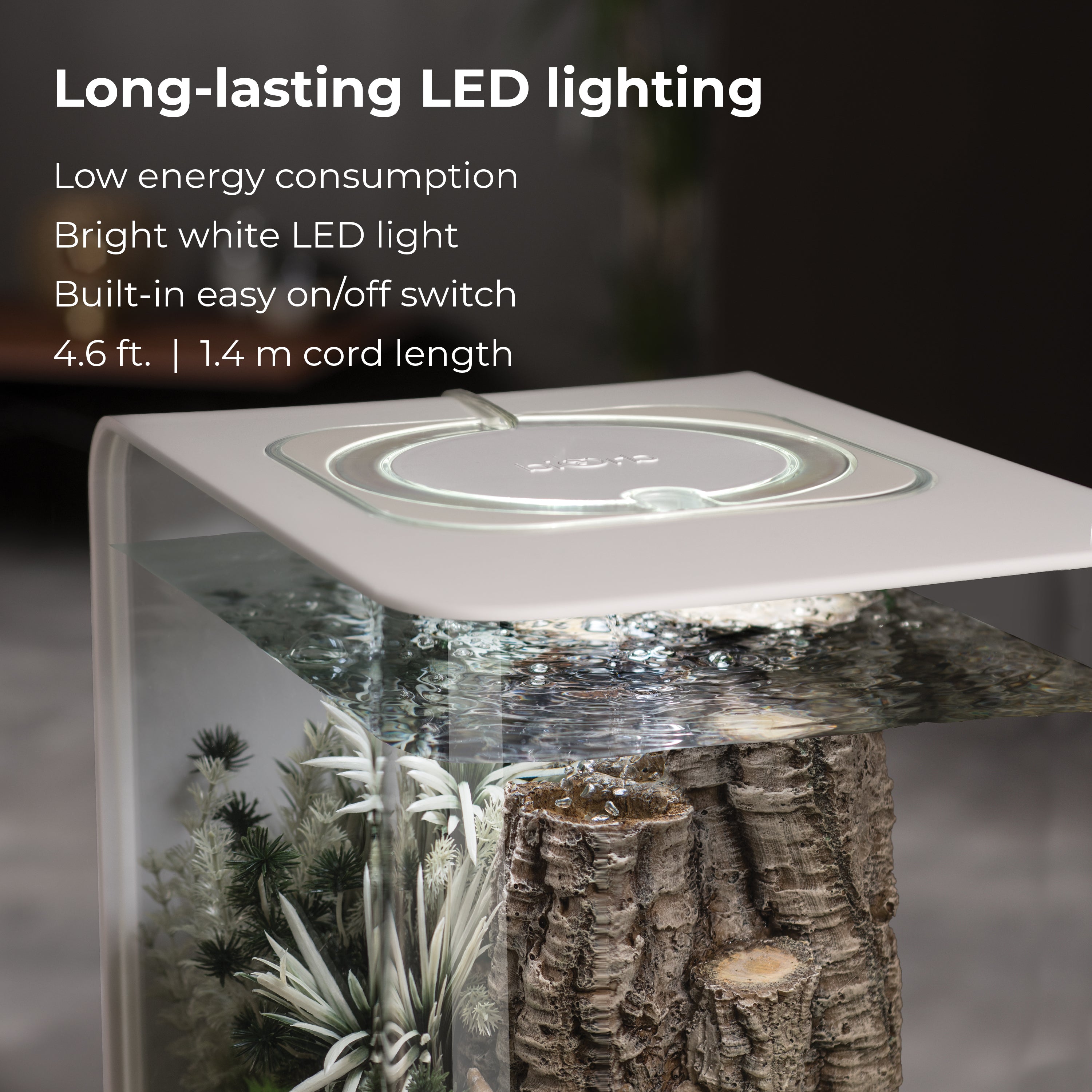 FLOW 15 Aquarium with Standard Light - 4 gallon features Long-lasting LED lighting