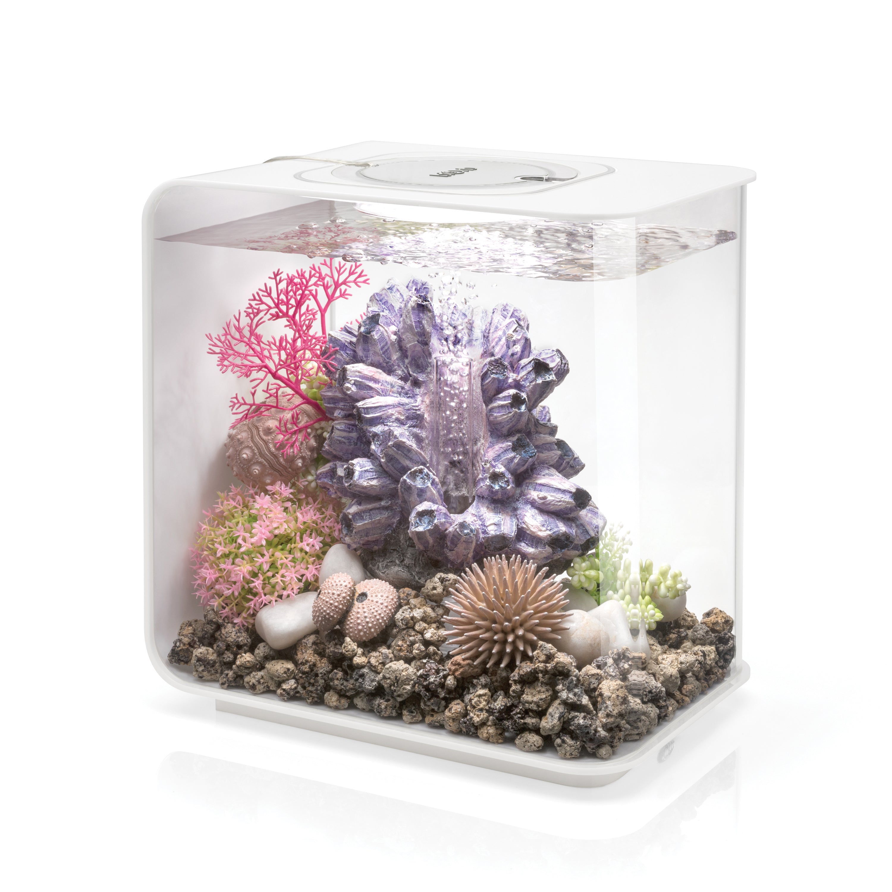 FLOW 15 Aquarium with Standard Light - 4 gallon available in white