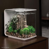 Get inspiration for your aquarium FLOW 15 Aquarium with Standard Light - 4 gallon available in white