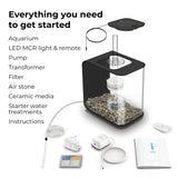 Everything you need to get started FLOW 15 Aquarium with MCR Light - 4 gallon