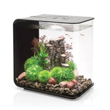 FLOW 30 Aquarium with Standard Light - 8 gallon available in black